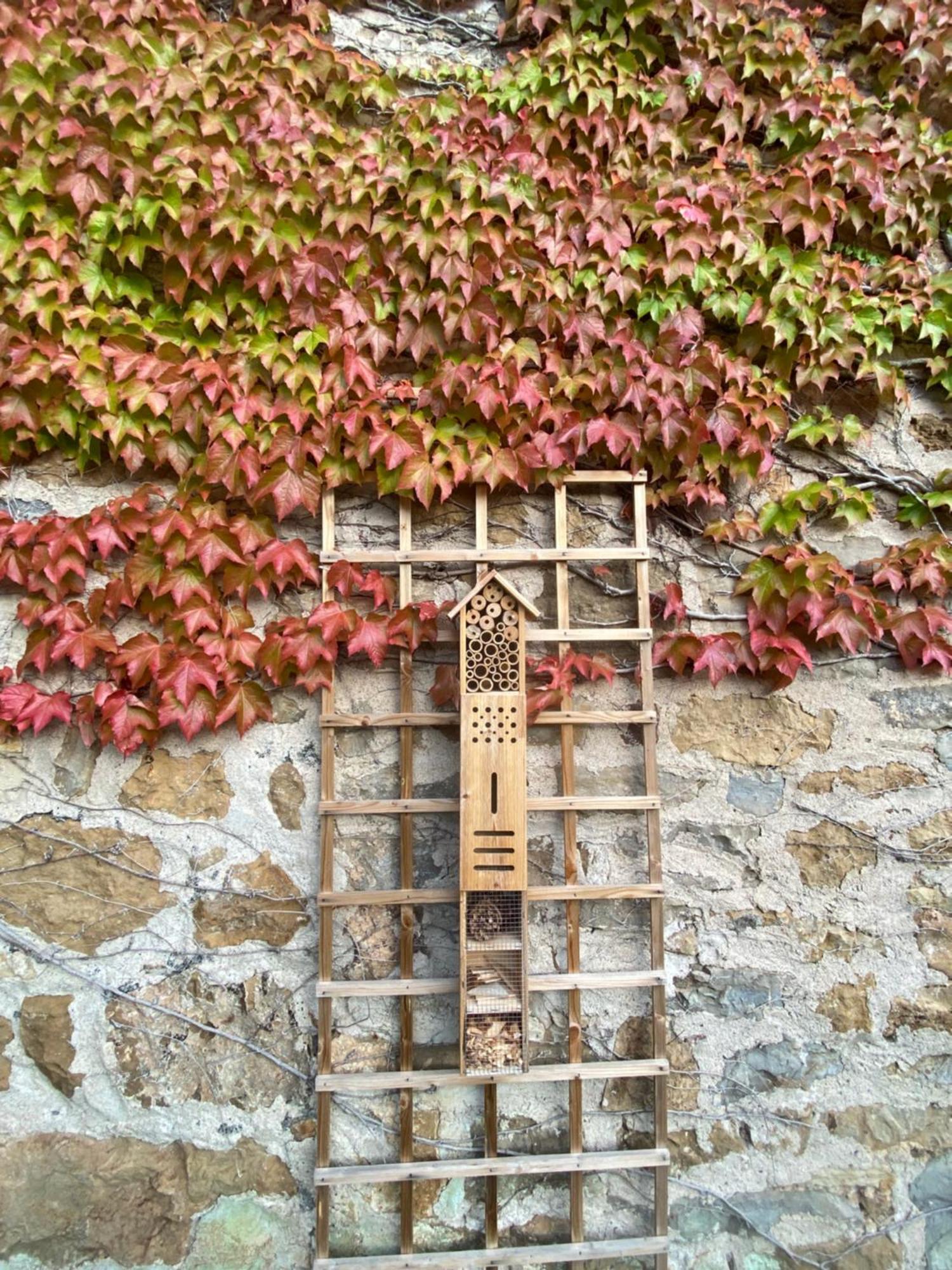 Les Caselles, Gite Et Maison D'Hotes Saint-Beauzely Dış mekan fotoğraf